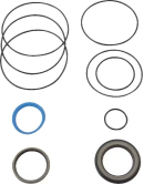 OMS9AFD Zestaw uszczelnień silnika hydraulicznego orbitalnego OMS 151F0111 Danfoss / White