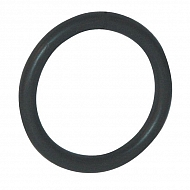 OR293P010 O-ring 29x3