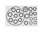 AR2409 O-ring zestaw do AR202 / 252 pompy Annovi Reverberi