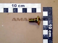 DA061 Śruba 8X20 kl. 8.8 A2G stal nierdzewna pasuje do siewnika Amazone