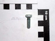 DC018 Śruba z łbem 6-kątnym 6x20 kl. 8.8 stal nierdzewna AMAZONE