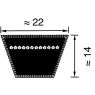 VB221930 Pasek klinowy Optibelt, C76 22x1930