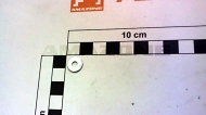 DF005 Dysk ISO 7093-1 4,3x12x1 St A2G stal nierdzewna AMAZONE