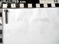 DD254 Śruba z łbem płaskim M5x30 AMAZONE