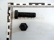 DC391 Śruba sześciokątna ISO 4017 M16x55 stal nierdzewna Amazone