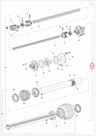 YY00219 Komplet Amazone