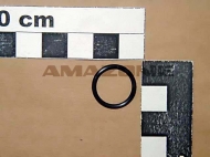 FC161 O-Ring 14,00x1,78 Amazone