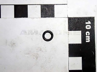 FC100 O-Ring 5,00x1,50 Amazone