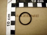 Y100247960 O-Ring 24,00x2,00 Amazone