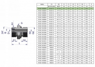 Przyłączka hydrauliczna BB (XGE) M12x1.5 06L x 1/8" BSP ED Waryński ( sprzedawane po 10 )