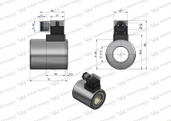 Cewka dzielnika elektrozaworu W-E12DVS6/2-80L. W-E12DVS3/2-80L  12V DC 48W Waryński