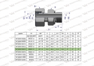 Przyłączka hydrauliczna AB (EVGE) M22x1.5 15L x 1/2" BSP ED Waryński ( sprzedawane po 2 )