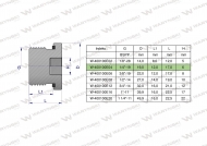 Korek hydrauliczny calowy (na imbus) 1/4" BSP ED Waryński ( sprzedawane po 10 )