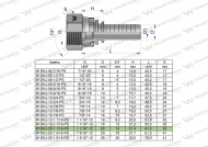 Zakucie hydrauliczne DKJ DN20 1 1/16"-12 UNF PREMIUM Waryński