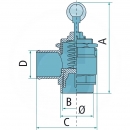 4055100200032 Ogranicznik ciśnienia 2 1/2" Battioni Pagani wóz asenizacyjny 5100200032
