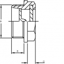 LCP04N Wziernik gwint calowy typ LCP, G1/4"