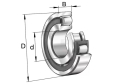 20210TVPC3 Łożysko baryłkowe samonastawne 50x90x20 mm INA/FAG
