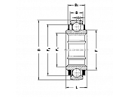 SK102207KRRBAH10 Wkład łożyska, sześciokątny 28,60 mm