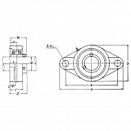 UCFL305 Łożysko z obudową 2-otworowe, kompletne O 25 mm