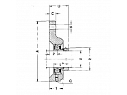 PCFTR30 Łożysko z obudową trójkątne, kompletne ∅ 30 mm