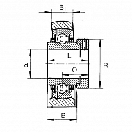 RASE50 Łożysko z obudową stojącą, kompletne RASE50, O 50 mm