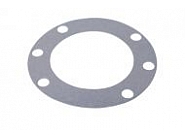 Uszczelka wału głównego Bi