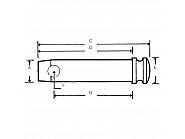 Z319102KR Sworzeń, 19x96 mm