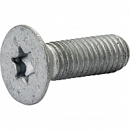 DD497 Śruba, M8x25 mm AMAZONE