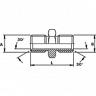 DNB06 Złączka dwuwkrętna 3/8 BSP, 3/8x/3/8, 3/8"x3/8" BSP