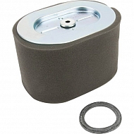 799818 Filtr, oczyszczacz powietrza Briggs & Stratton