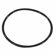 395081 Pierścień samuszczelniajacy Viton 47,30x2,62, 47,3x2,62 do zaworu Annovi Reverberi