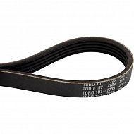 1077739 +Belt-Poly V