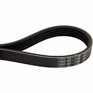 1077739 +Belt-Poly V