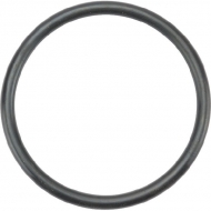 10697 Uszczelka O-ring