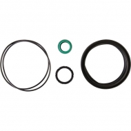 BCE250D01 Zestaw uszczelek cylindra 250mm