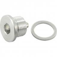 PD99510107100 Korek magnetyczny przekładni Comer, 3/8" BSP