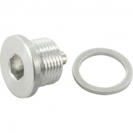 PD99510107100 Korek magnetyczny przekładni Comer, 3/8" BSP