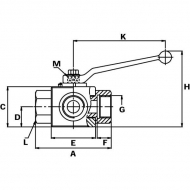 KH3KSR04GP Zawór kulowy 3/2-L - 1/4"BSP