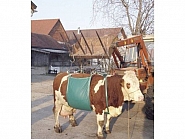 VV1049 Podnośnik temblakowy dla bydła KERBL 1066