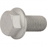 00360212 Screw 16x30